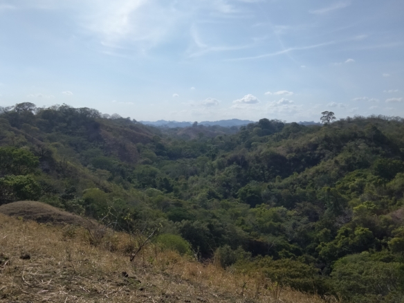 Happy valley – 30 Hex