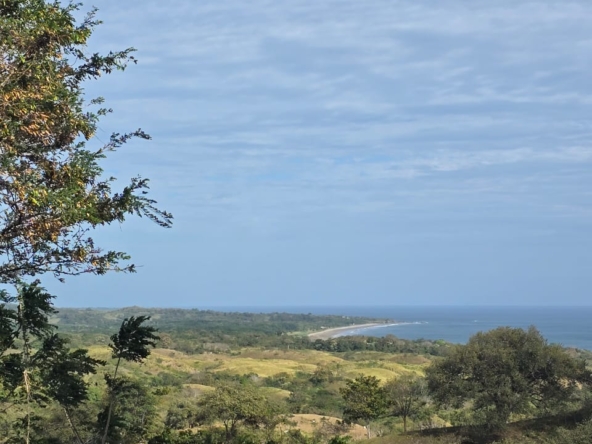 WhatsApp Image 2026-01-08 at 4.48.34 PM (1)