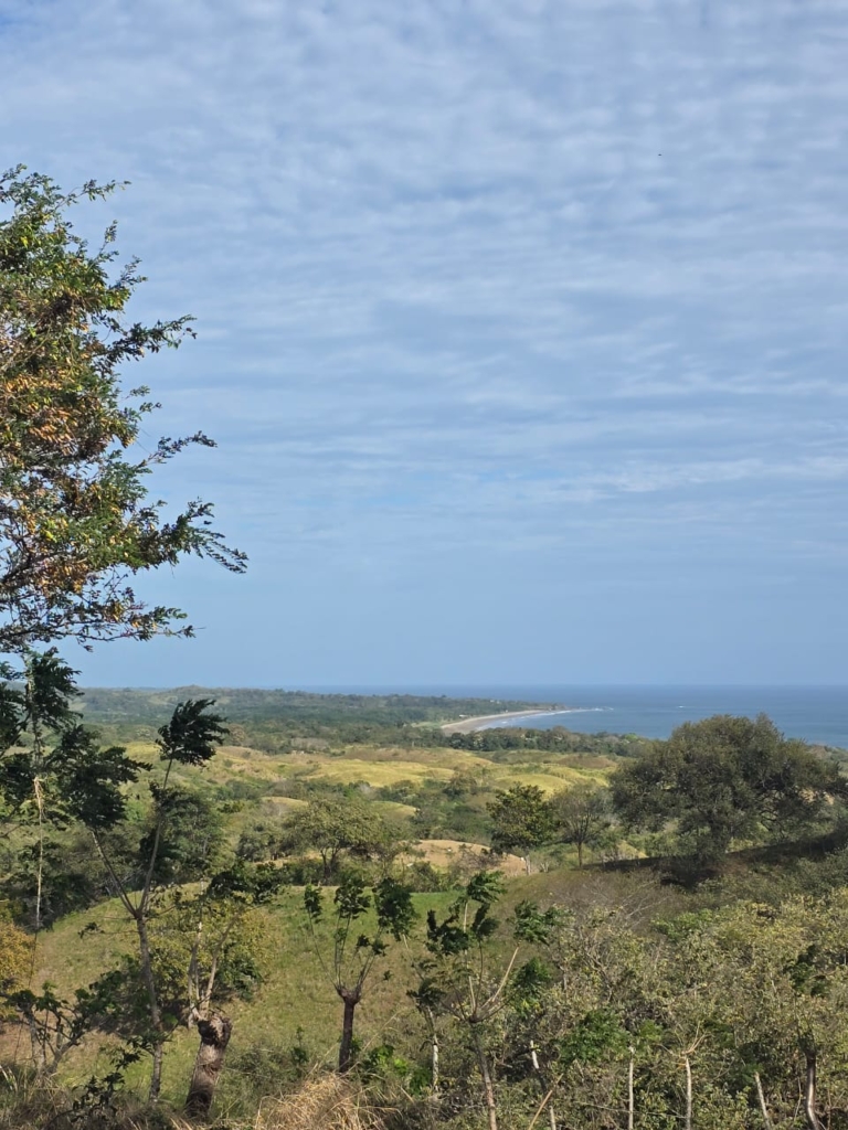 Large beachfront acreage for sale in El Ciruelo, Azuero, Panama