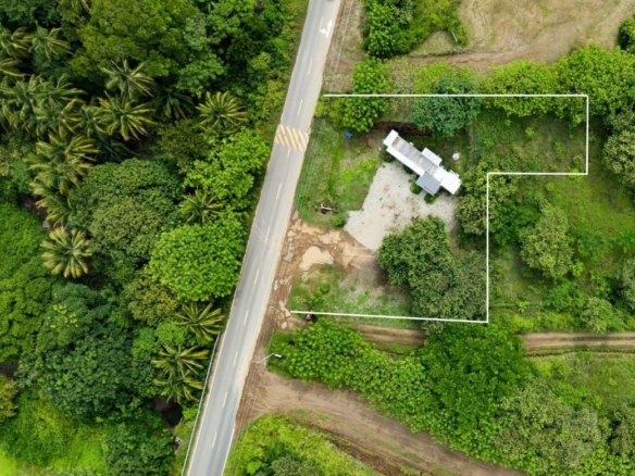 Savory Ciruelo – A turnkey Business for Sale