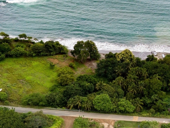 Savory Ciruelo – A turnkey Business for Sale