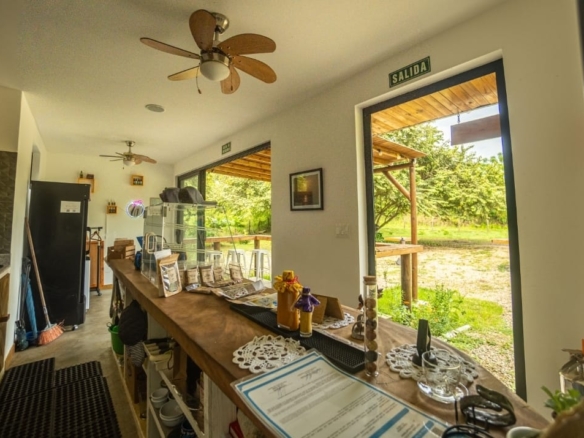 Savory Ciruelo – A turnkey Business for Sale
