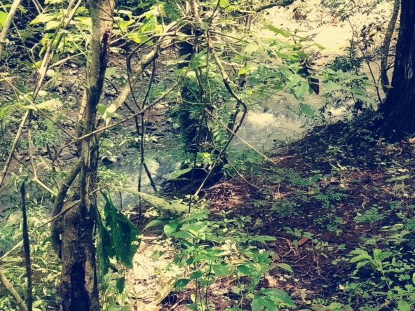 WhatsApp Image 2025-10-30 at 1.46.13 PM