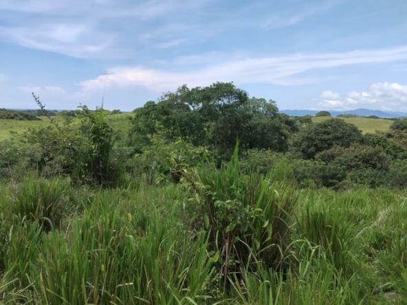 WhatsApp Image 2025-10-30 at 1.46.14 PM