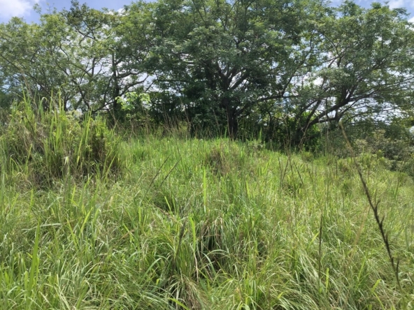 WhatsApp Image 2025-10-30 at 1.46.26 PM (1)