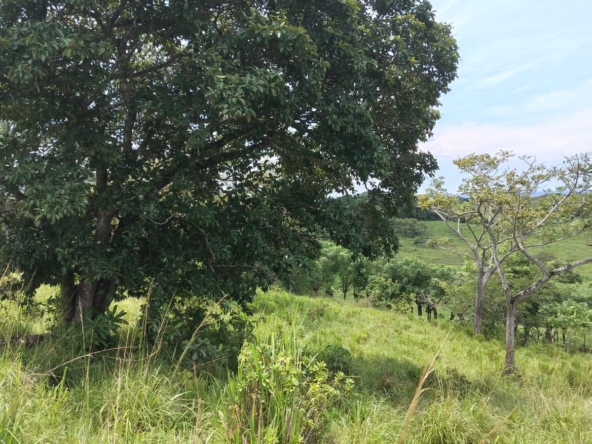 WhatsApp Image 2025-10-30 at 1.46.26 PM