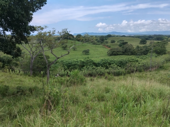 WhatsApp Image 2025-10-30 at 1.46.27 PM (1)