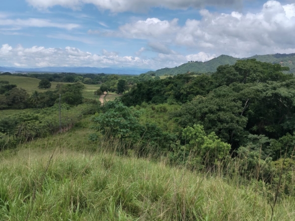 WhatsApp Image 2025-10-30 at 1.46.27 PM