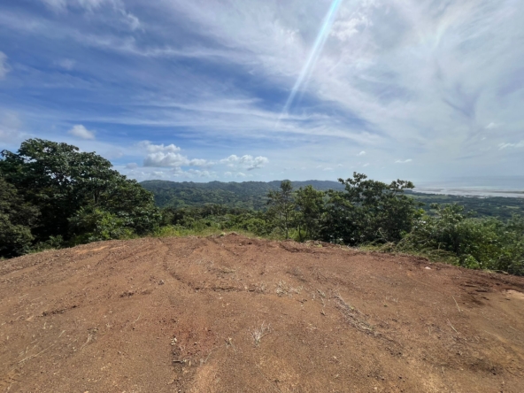 WhatsApp Image 2025-12-04 at 10.18.11 AM