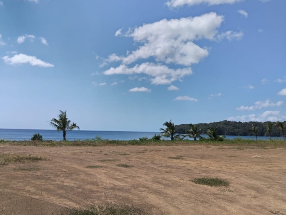 Seaside Serenity 🌴Where Palmas meet the Blue Horizon🌴