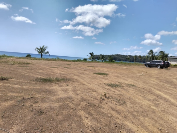 WhatsApp Image 2025-12-31 at 1.05.58 PM