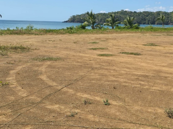 WhatsApp Image 2025-12-31 at 11.26.32 AM