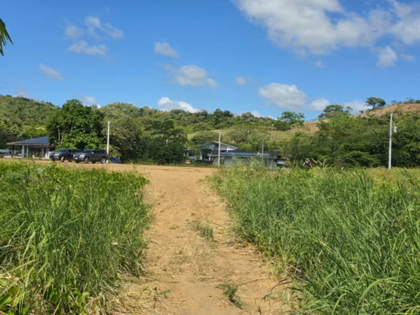 WhatsApp Image 2025-12-31 at 11.26.33 AM (1)