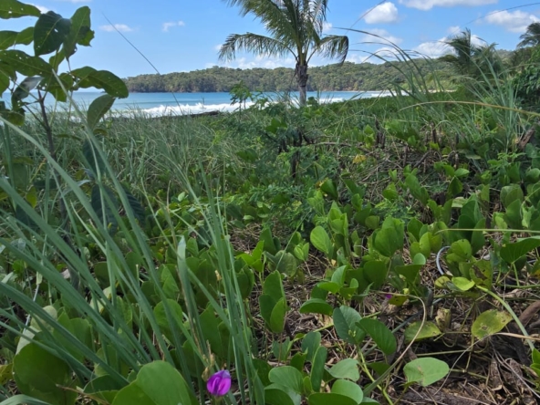 WhatsApp Image 2025-12-31 at 11.26.33 AM (3)