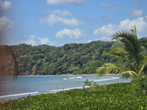 WhatsApp Image 2025-12-31 at 11.26.33 AM (4)