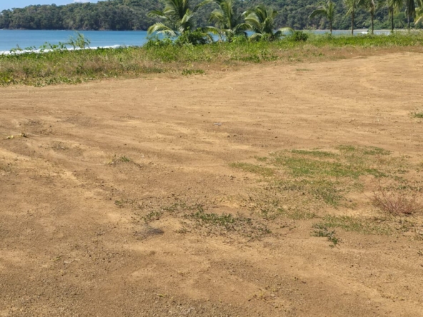 WhatsApp Image 2025-12-31 at 11.26.33 AM