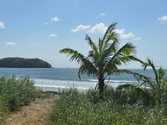 Seaside Serenity 🌴Where Palmas meet the Blue Horizon🌴