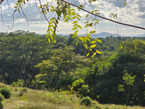 WhatsApp Image 2026-01-06 at 4.55.03 PM