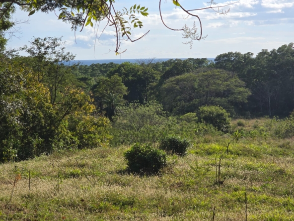 WhatsApp Image 2026-01-06 at 4.55.08 PM