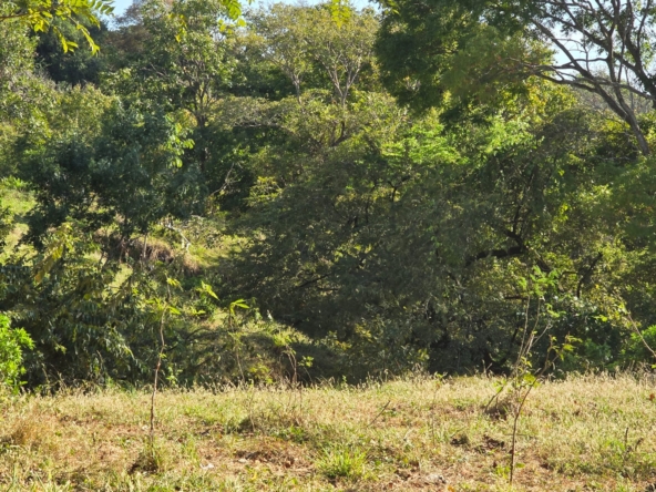 WhatsApp Image 2026-01-06 at 4.59.56 PM