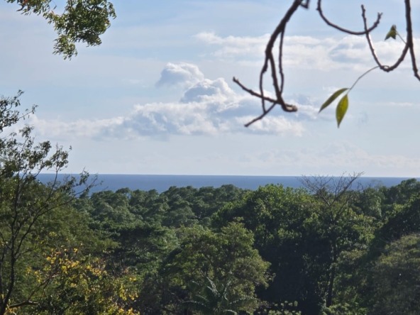 WhatsApp Image 2026-01-06 at 5.00.02 PM