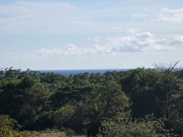 Endless love ocean view Cañas