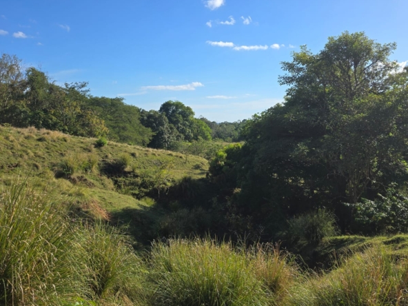 WhatsApp Image 2026-01-06 at 5.00.18 PM