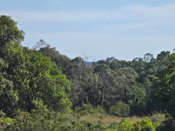 WhatsApp Image 2026-01-06 at 5.00.27 PM