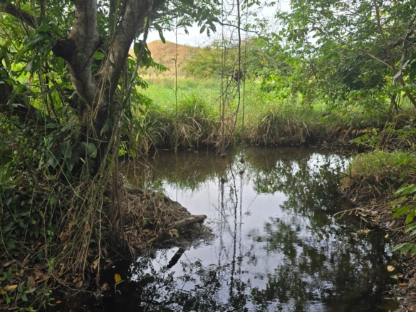 Naturamosa  – heaven on erath in Cañas
