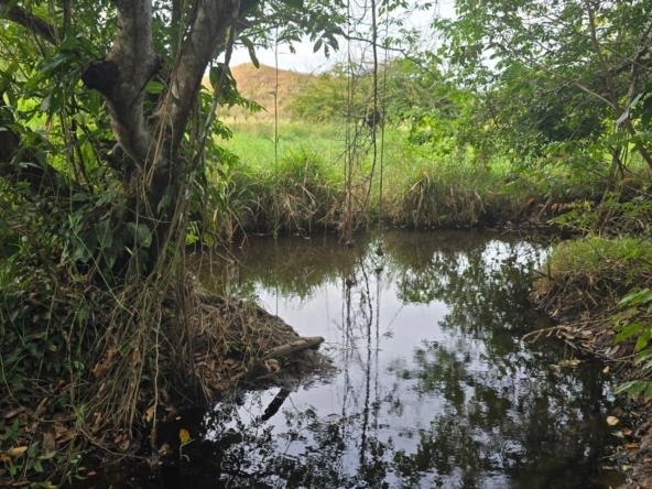 WhatsApp Image 2026-01-19 at 6.22.39 PM