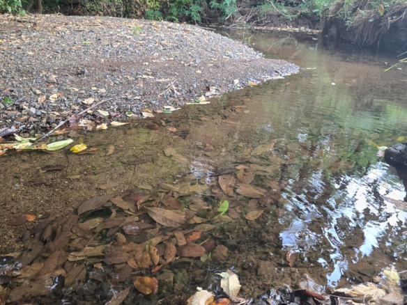 Naturamosa  – heaven on erath in Cañas