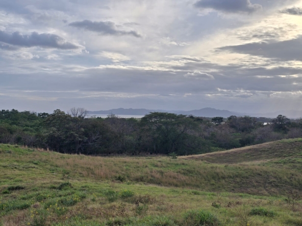 WhatsApp Image 2026-01-19 at 6.22.45 PM (1)