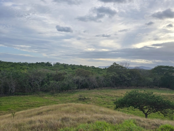 WhatsApp Image 2026-01-19 at 6.22.50 PM