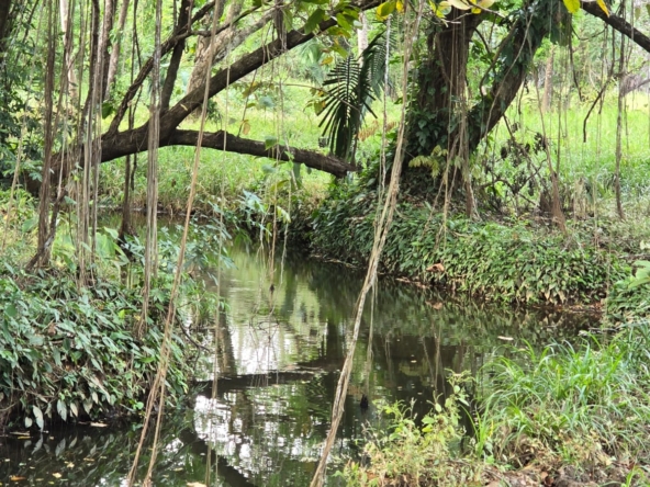 WhatsApp Image 2026-01-19 at 6.22.52 PM