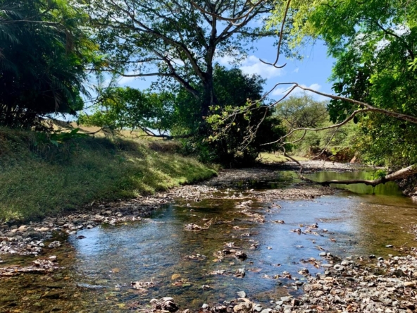 WhatsApp Image 2026-01-19 at 8.41.04 PM (1)