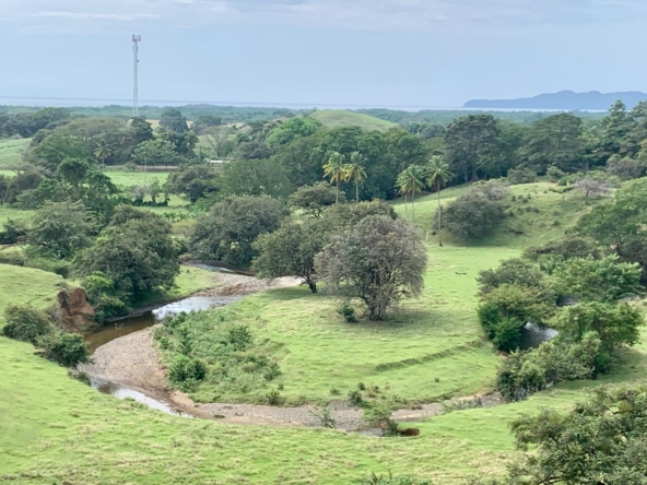 WhatsApp Image 2026-01-19 at 8.41.04 PM