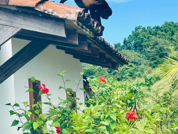 WhatsApp Image 2026-01-19 at 8.41.05 PM