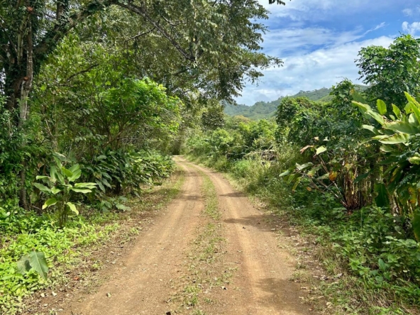 WhatsApp Image 2026-01-19 at 8.46.25 PM