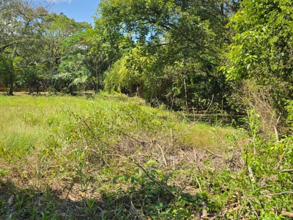 WhatsApp Image 2026-01-20 at 12.13.12 PM (1)