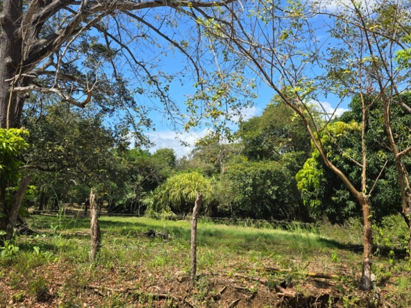 WhatsApp Image 2026-01-20 at 12.13.12 PM