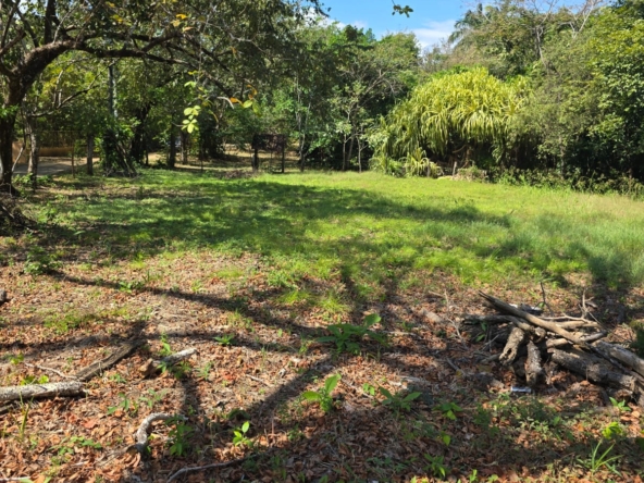 WhatsApp Image 2026-01-20 at 12.13.13 PM (2)