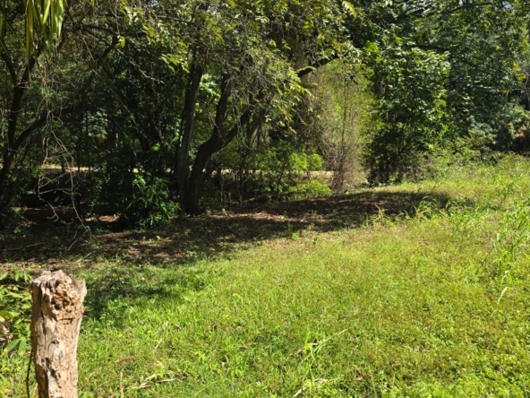 WhatsApp Image 2026-01-20 at 12.13.13 PM (3)