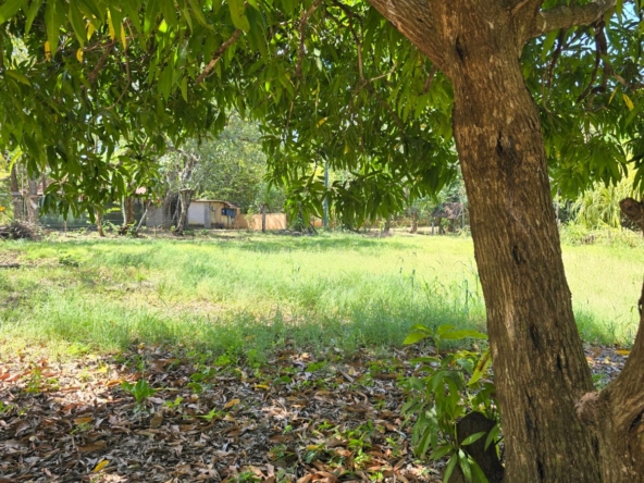 WhatsApp Image 2026-01-20 at 12.13.13 PM