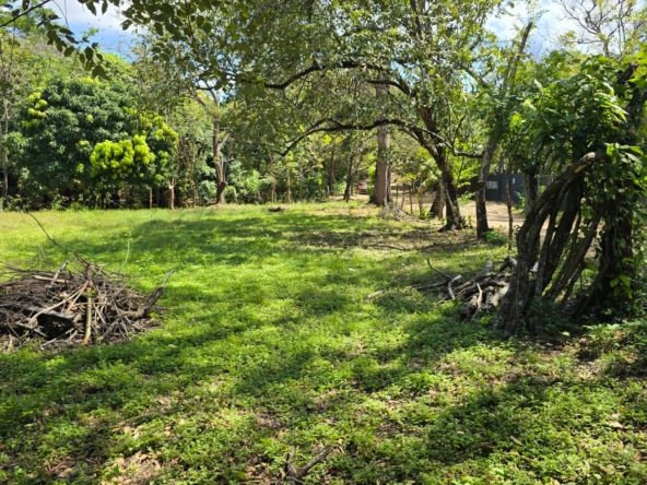 WhatsApp Image 2026-01-20 at 12.13.14 PM (1)