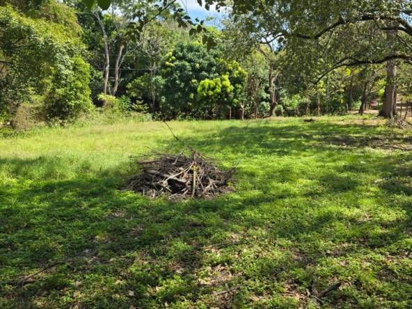 WhatsApp Image 2026-01-20 at 12.13.14 PM