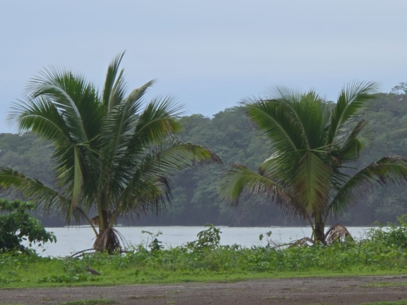 The Village lot – Ocean View Escape